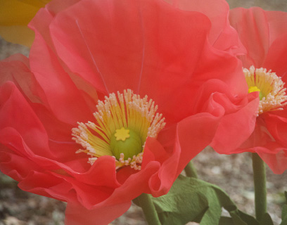 オーガンジー素材 花画像