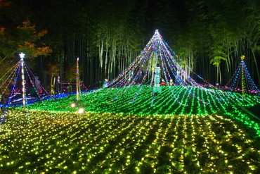 庭園  ストリングライト使用イルミネーション