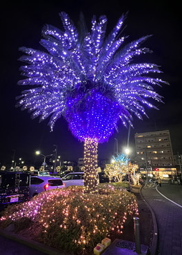 東京 ショッピングモール イルミネーション