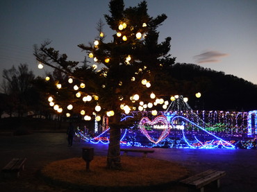 公園イルミネーション 施工例