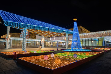 クリスマスツリー イルミ
