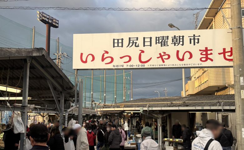 大阪・田尻漁港「日曜朝市」へ行ってきました｜新鮮な魚介と朝市グルメを楽しめる人気スポット